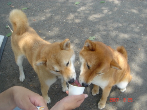 DSC00780.JPG