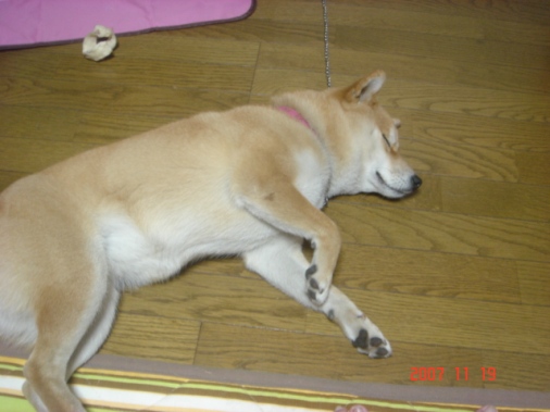 DSC00827.JPG