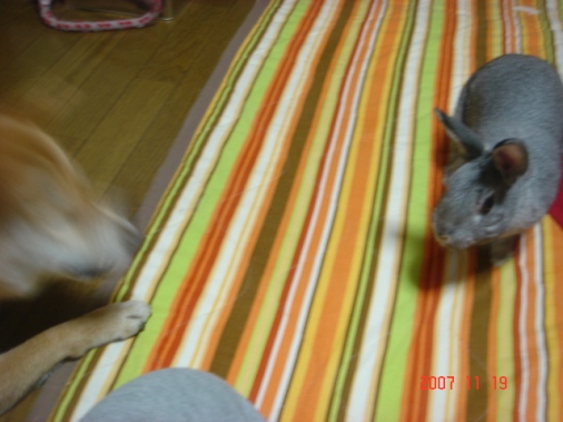 DSC00833.JPG