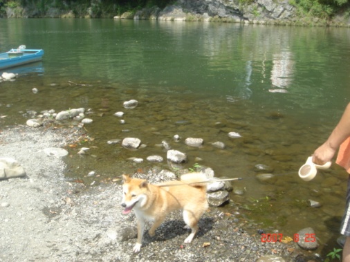 DSC00788.JPG