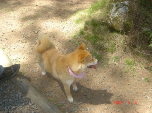 DSC00631.JPG