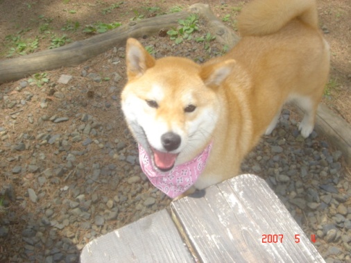 DSC00633.JPG
