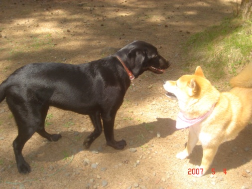 DSC00634.JPG