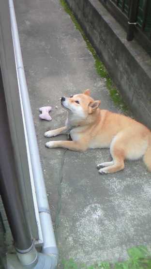 200807150939000c.jpg