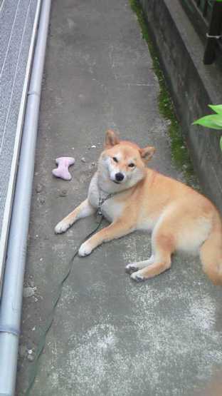 200807150939001d.jpg