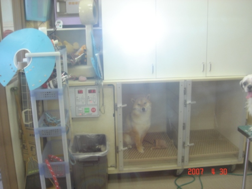 DSC00590.JPG