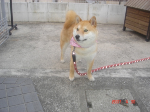 DSC00601.JPG