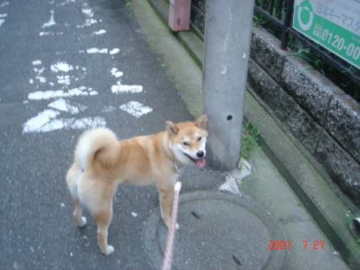 DSC00736.JPG