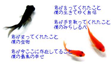 gaitou1_a.jpg