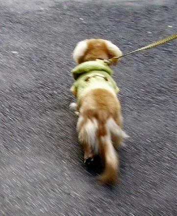 ルンルンルン♪