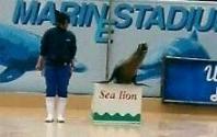 ｵｳｯ