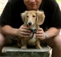 やるときゃやる男Ｊ