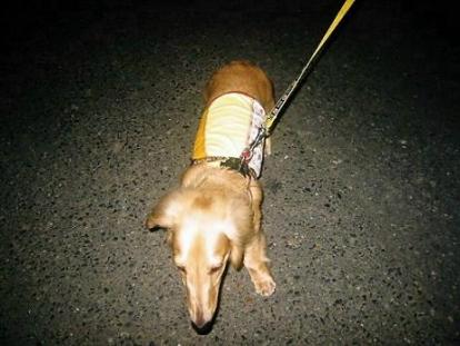 寄り道なんてしてられませんよ～