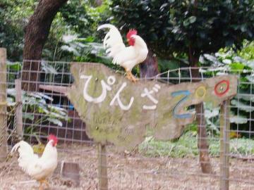 ぴんざＺＯＯ看板あり！