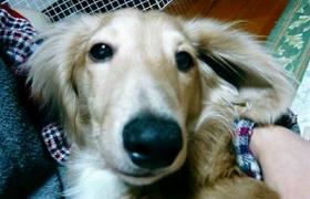 寝てたのにぃ～