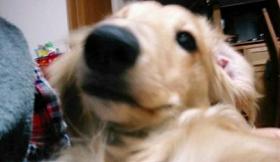 夢の中へ入っていきますぅ～