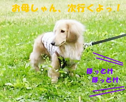 何してるの？