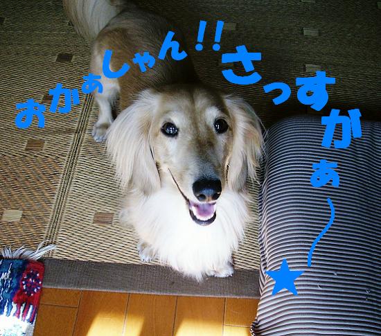 しもべになってもいいよ～