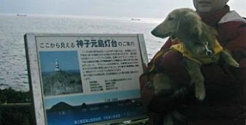ﾌﾑﾌﾑ･･･