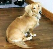 到着したよ～♪