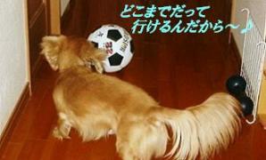 シュートしちゃうぞぉ～
