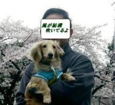 風がねぇ～･･･
