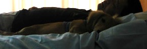 散歩の後の一眠り