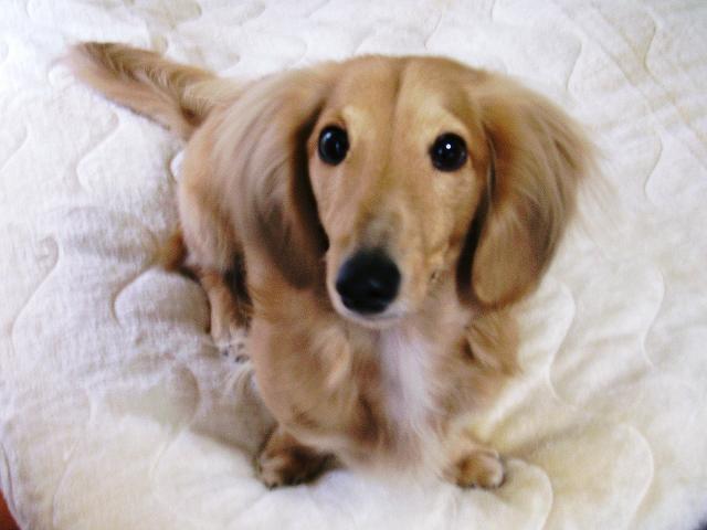 ママが忙しいと僕は暇なの…。