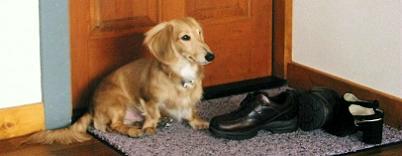 楽しみだなぁ～♪