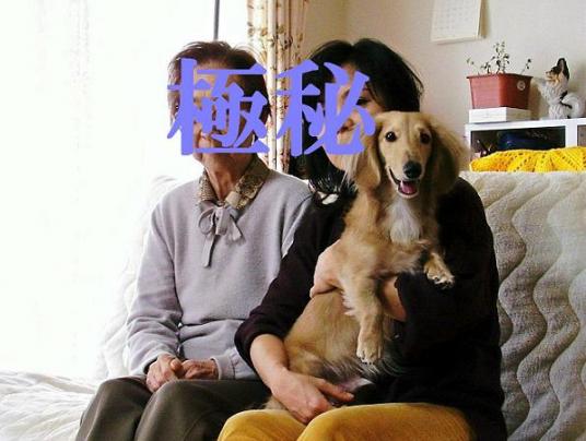 嘘じゃないよ～♪