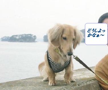 このまま此処に居ようかなぁ･･･