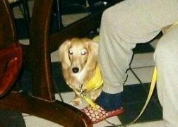 また？