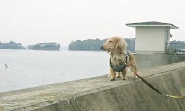 海の匂いがするよ！
