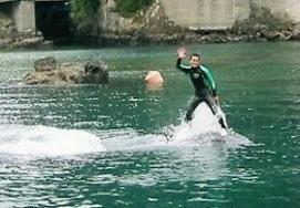 ｻｰﾌｨﾝ！