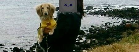 海の匂い？