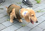 くはぁ～～～、良く寝たな