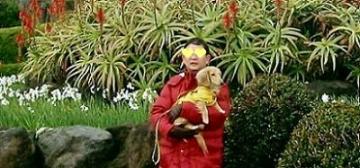 何の花？