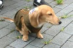 んん～～～っと、一休みね