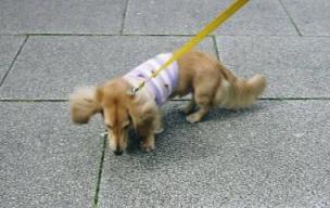 僕も興味ないよ～