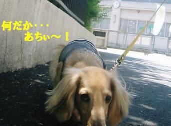 あちぃ～～