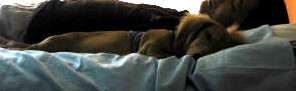散歩の後の深い眠り