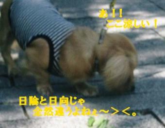 あち！あち！