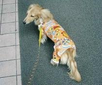 うぅぅ～～ん･･･