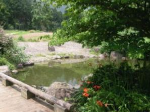 幕山公園内の風景
