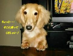 ねぇねぇ･･･