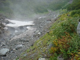 大権沢