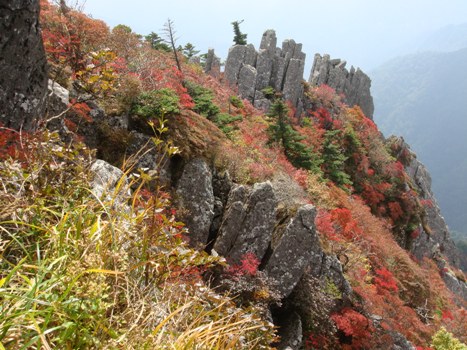 石鎚山の紅葉