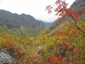 紅葉　３