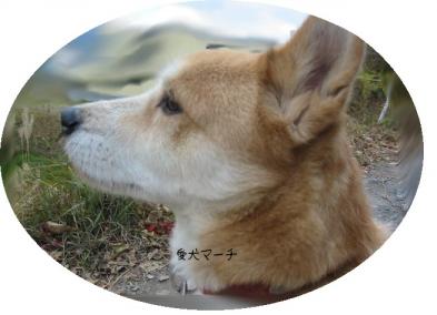 マーチ