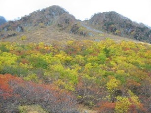 紅葉　５
